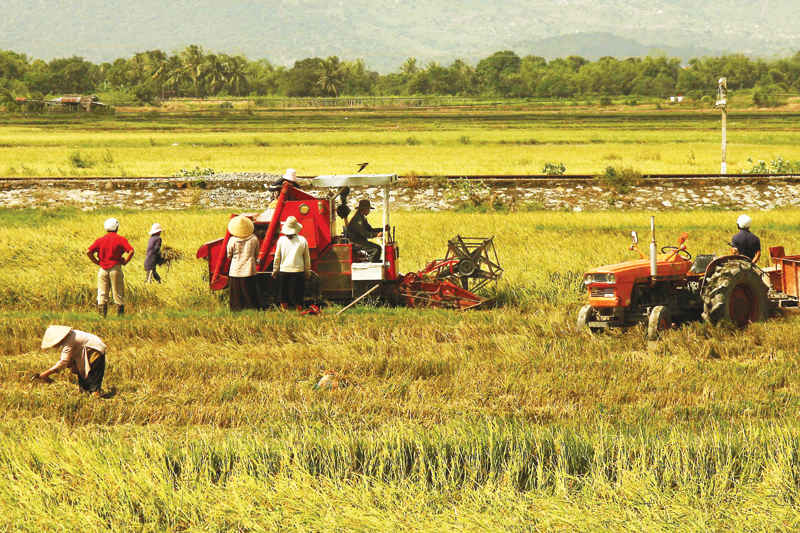 Chỉ 1% doanh nghiệp đầu tư vào nông nghiệp.
