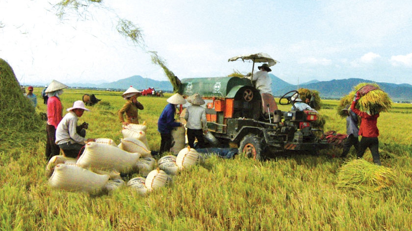 Bộ Nông nghiệp và Phát triển nông thôn đã thực hiện chủ trương xã hội hóa công tác khảo nghiệm, kiểm nghiệm các mặt hàng phải kiểm tra chuyên ngành, về cơ bản hiện nay không có tình trạng độc quyền.
