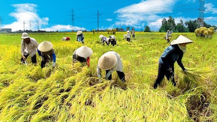 Ngân sách địa phương sẽ hỗ trợ lãi suất vay thương mại sau khi dự án hoàn thành với mức hỗ trợ bằng chênh lệch lãi suất vay thương mại so với lãi suất tín dụng nhà nước ưu đãi.