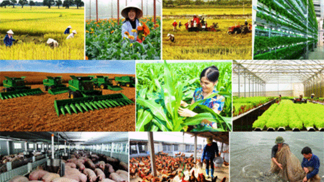 Khu vực kinh tế tập thể, hợp tác xã vẫn còn một số hạn chế, bất cập.