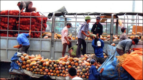 Nông sản xuất siêu gần 7 tỷ USD.