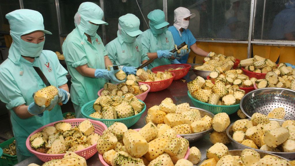 Xuất khẩu nông sản Việt Nam đứng thứ 2 Đông Nam Á và thứ 15 thế giới.