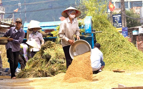 <span style="font-family: 'Times New Roman'; font-size: 14.545454025268555px;">Bộ Tài chính đề xuất giảm 50% tiền thuê đất năm 2013, năm 2014 đối với các tổ chức kinh tế, hộ gia đình, cá nhân.</span>