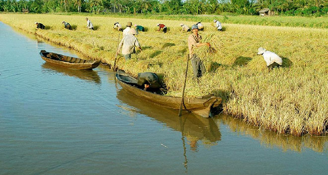 Trên cơ sở những đề xuất của UBND thành phố Cần Thơ, Văn phòng Chính phủ
 đã có văn bản gửi Bộ Tài chính, Bộ Kế hoạch và Đầu tư, Bộ Nông nghiệp 
và Phát triển Nông thôn, Ngân hàng Nhà nước, Viettinbank, Agribank, đề 
nghị các cơ quan này có ý kiến về những kiến nghị của Cần Thơ trước 
15/5/2017.
