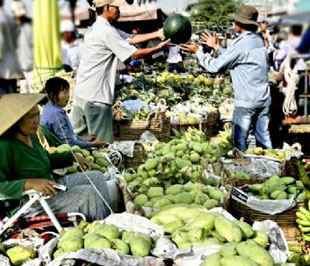 Thời gian tới, nông sản của người nông dân sẽ được giao dịch tại các sàn giao dịch. Ảnh minh hoạ