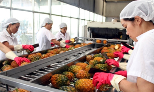 Phấn đấu đạt giá trị xuất khẩu rau quả 8 - 10 tỷ USD vào năm 2030