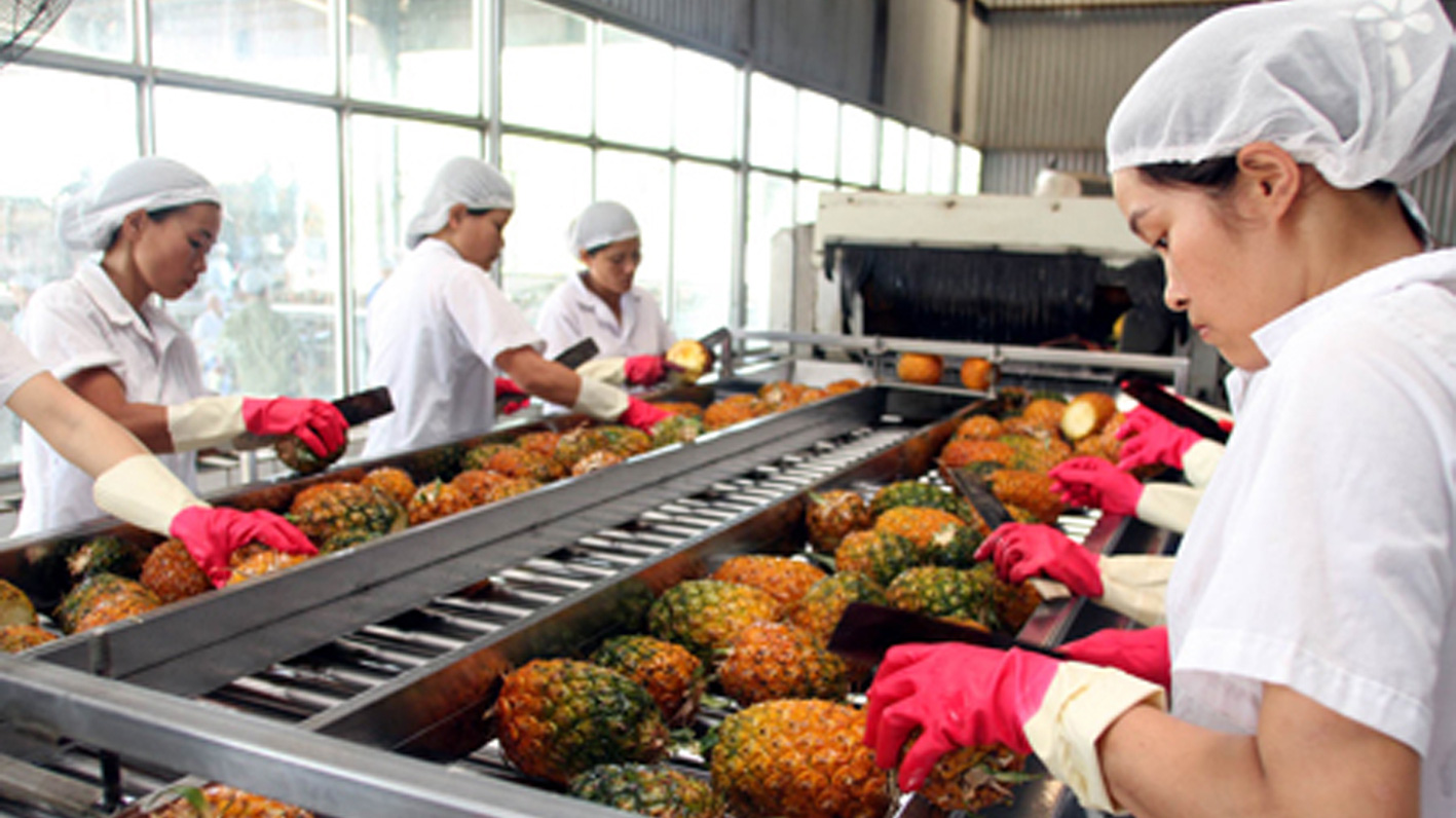 Phấn đấu trong giai đoạn 2021 - 2030, tốc độ tăng trưởng giá trị gia tăng bình quân trên 10%/năm - Ảnh: VGP