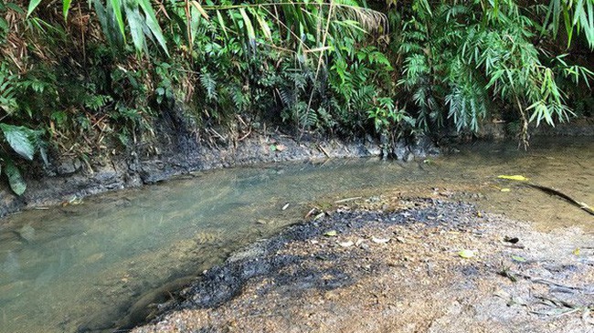 Hiện nay, Công an tỉnh Hòa Bình đang khẩn trương và tích cực điều tra, xác minh, truy tìm thủ phạm gây ra vụ đổ dầu thải nói trên.