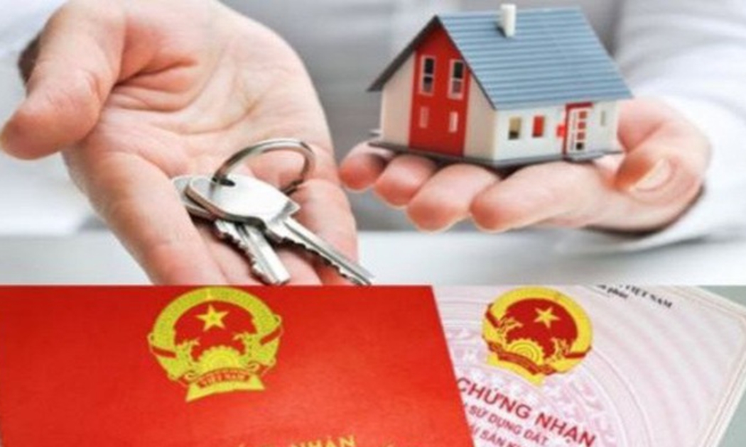 Phó thủ tướng thừa nhận có hiện tượng người nước ngoài thuê người Việt Nam mua đất đai hay bất động sản mà quy định luật pháp Việt Nam không cho phép,