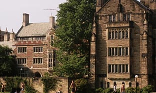 Nhân tài Phố Wall đi dạy học kiếm sống