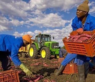 Các cơ quan phát triển cho rằng, sự minh bạch trong các vụ mua bán đất đai ở châu Phi là cần thiết, vì các thỏa thuận này tới nay vẫn thường được ký kết trong bí mật - Ảnh: AFP.