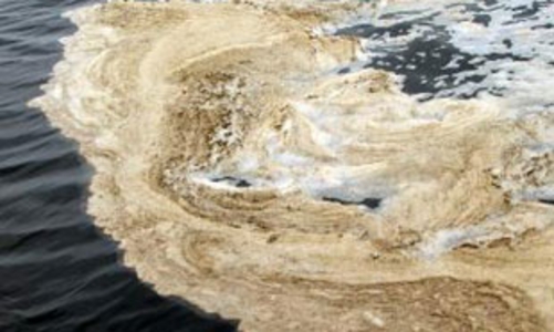 Cử tri kiến nghị Quốc hội giám sát chặt chẽ vấn đề bauxite