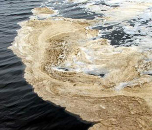 Cử tri lo lắng về tình trạng ô nhiễm môi trường chưa được giải quyết đến nơi đến chốn.