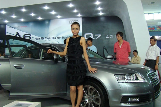 Lũy kế đến tháng 9/2010, số vốn FDI cấp mới và tăng vốn đã đăng ký đầu tư vào Việt Nam là 12,19 tỷ USD, bằng 87,3% so với cùng kỳ 2009.