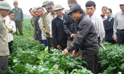 Gia tăng giá trị cho nông nghiệp từ mô hình kinh doanh bền vững