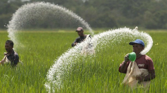 Việc áp dụng thuế tự vệ được cho là một "mũi tên" giúp chuyện thoái vốn ở Vinachem tránh khỏi thất bại. 