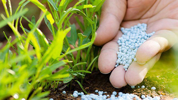 Phân bón DAP, MAP nhập khẩu chính thức bị áp thuế tự vệ khi vào Việt Nam.