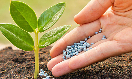 Hai doanh nghiệp thuộc Vinachem muốn kéo dài áp thuế chống bán phá giá với phân bón