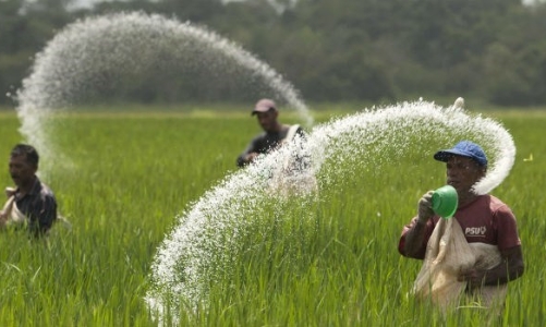 Doanh nghiệp Việt muốn áp tự vệ với phân bón nhập khẩu