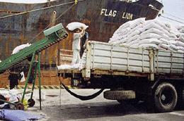 Dự báo giá một số loại phân bón sẽ tăng trong thời gian gần.