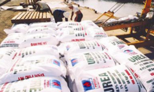 Giá phân bón được dự báo khó tăng cao