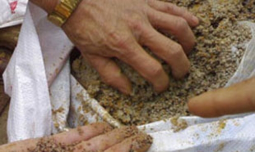 Dùng phân bón giả bị... phạt