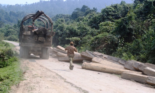 Bảo vệ rừng: Càng “đổi mới” càng dễ mất?