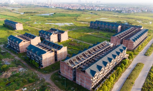 Giới đầu cơ tạo 