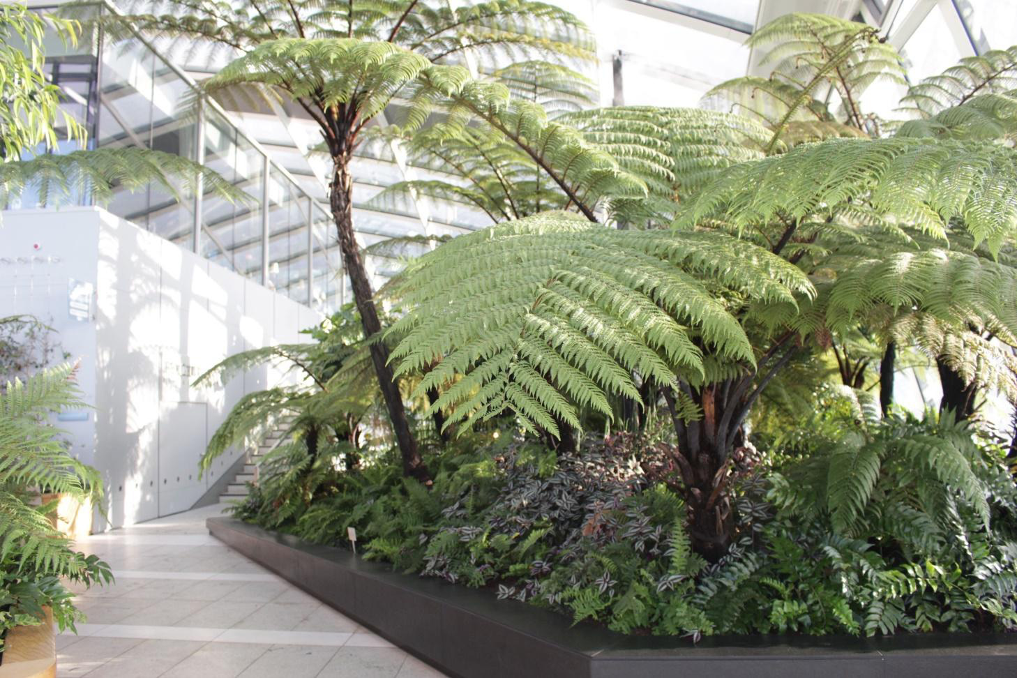 Dự án căn hộ hạng sang tại Quận 7 sở hữu 99 khu vườn nhiệt đới trong lòng các tòa tháp - Ảnh 7.