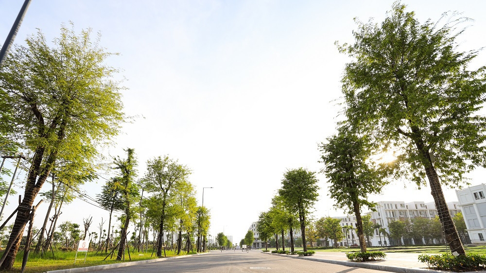 Một góc xanh thư thái trong lòng The Manor Central Park