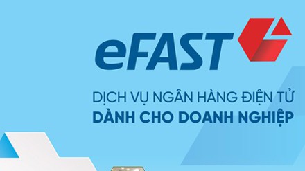 VietinBank đã phát triển hệ thống bảo mật Internet Banking thông qua VietinBank eFAST với nhiều lớp kiểm soát chống tấn công và phòng thủ theo chiều sâu.