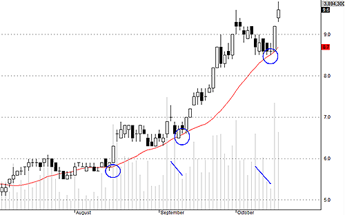 PVT vẫn hút tiền rất khỏe.