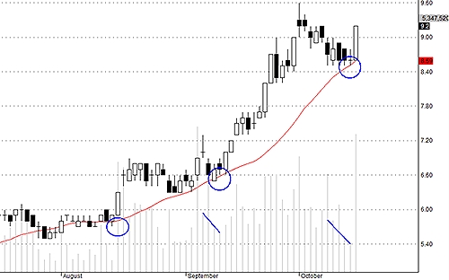 PVT đang được đầu cơ với kỳ vọng rất cao.