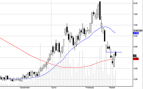 PVX hôm nay được "vẽ" hình mẫu giá.