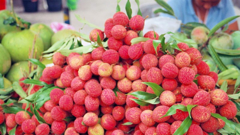 Trong niên vụ 2018, quả vải của Việt Nam đã có mặt tại 27 quốc gia, vùng lãnh thổ trên thế giới, nhiều hơn 8 quốc gia so với niên vụ 2017. 