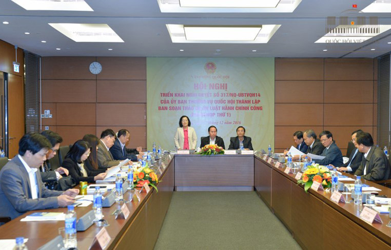 Đại biểu Quốc hội Trần Thị Quốc Khánh phát biểu trong một phiên họp của ban soạn thảo dự án Luật Hành chính công.