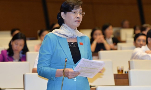 Ngân sách Tp.HCM và phiên thảo luận đặc biệt tại nghị trường