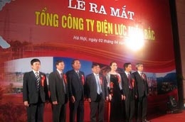 Ban lãnh đạo EVN NPC tại lễ ra mắt sáng 2/4.