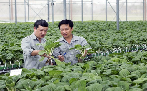 Chính phủ yêu cầu Ngân hàng Nhà nước chỉ đạo các ngân hàng thương mại tiết giảm chi phí 
hoạt động để góp phần giảm lãi suất cho vay lĩnh vực này từ 0,5- 1,5% so
 với mặt bằng lãi suất cho vay. 