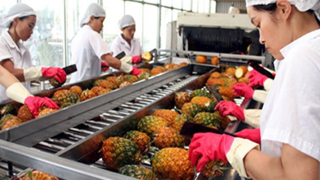 Xuất khẩu rau quả sang Nga, Malaysia và Thái Lan giảm mạnh nhất, lần lượt giảm 47,4%, 34,3% và 27,8% so với cùng kỳ.