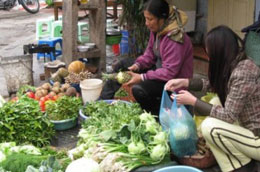 Giá bán của một số loại rau củ hiện nay đã gần trở lại với mức giá thời điểm trước Tết.