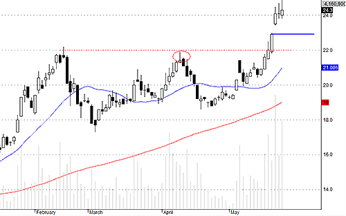 REE có thể đang bị phân phối khéo léo.