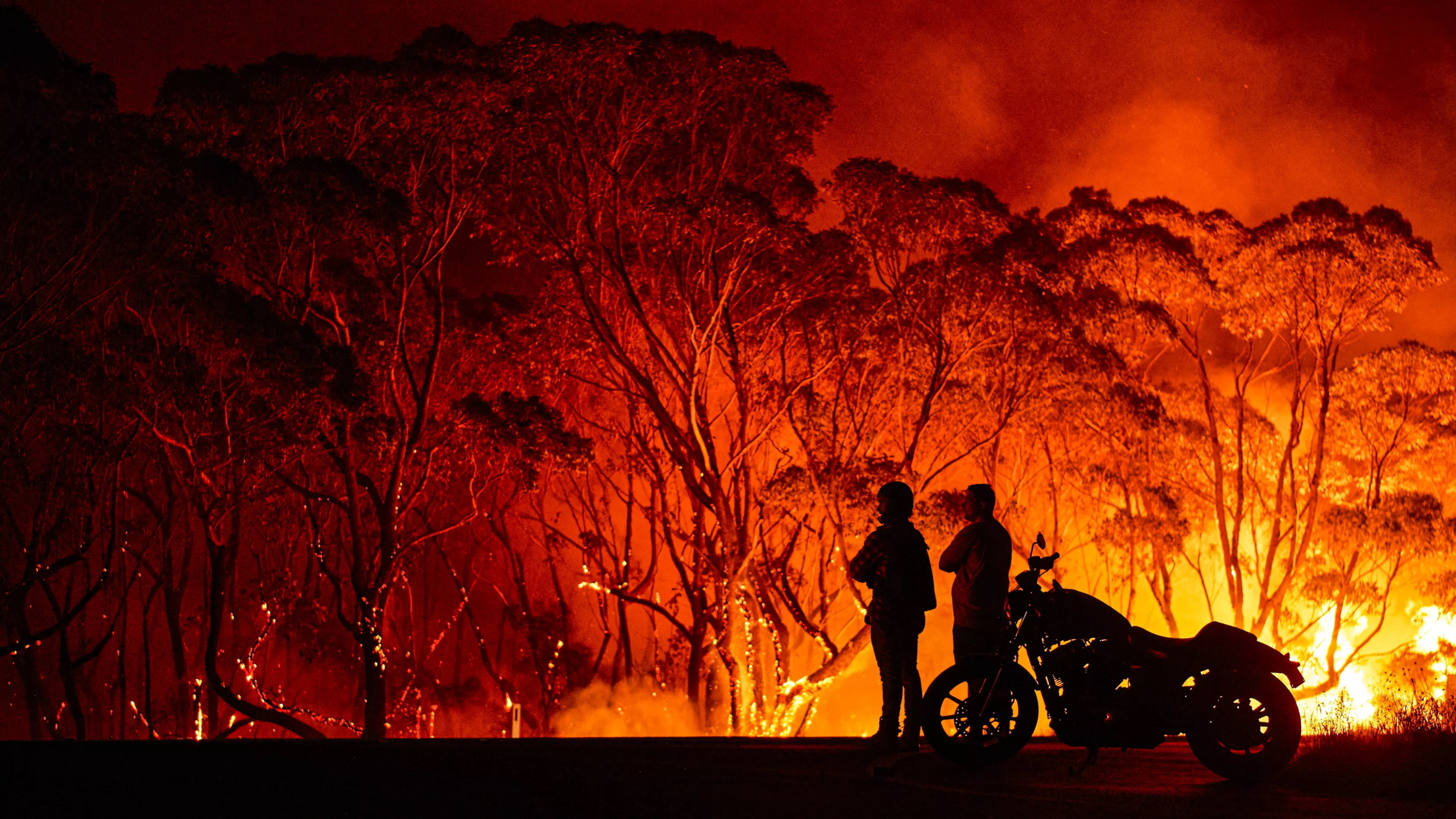 Mở đầu năm 2020, Australia chứng kiến một trong những thảm họa cháy rừng tồi tệ nhất trong lịch sử, thiêu rụi gần 16 triệu hecta rừng, làm gần 200 người thiệt mạng và ảnh hưởng tới 3 tỷ động vật - Ảnh: Getty Images