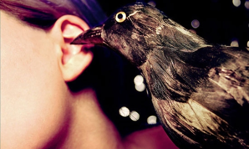 Điểm nóng tuần qua: Những trò đùa quái ác