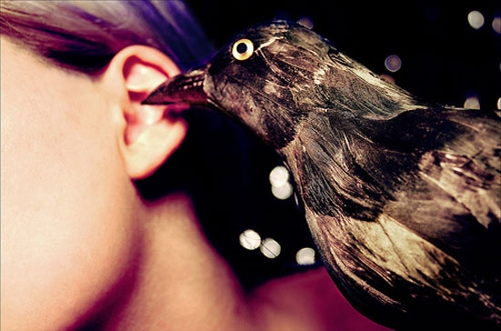 Tin đồn trong thời công nghệ càng nở rộ nhiều hơn.