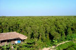 Thủ tướng chỉ đạo lập đoàn kiểm tra, đánh giá việc cấp giấy chứng nhận đầu tư và thực hiện các dự án đầu tư nước ngoài trong lĩnh vực lâm nghiệp và nuôi trồng thủy sản.