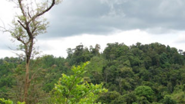 Dự án bauxite Nhân Cơ: Chưa thăm dò, khai quật khảo cổ học