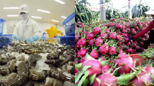 Các lô hàng tiếp theo của Việt Nam tới Úc sẽ bị kiểm tra 100% cho đến khi đạt tiêu chuẩn quy định.