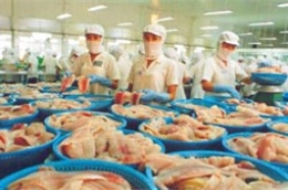 Sản phẩm cá của Việt Nam.