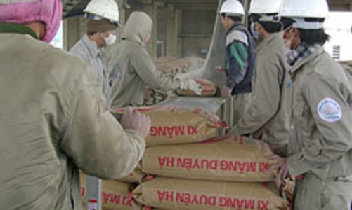 Giá xi măng tăng 5-6%